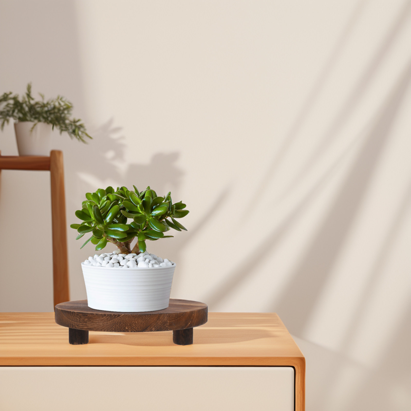طقم من 3 قطع من حوامل النباتات - مراجعة Display Risers Set وسعره