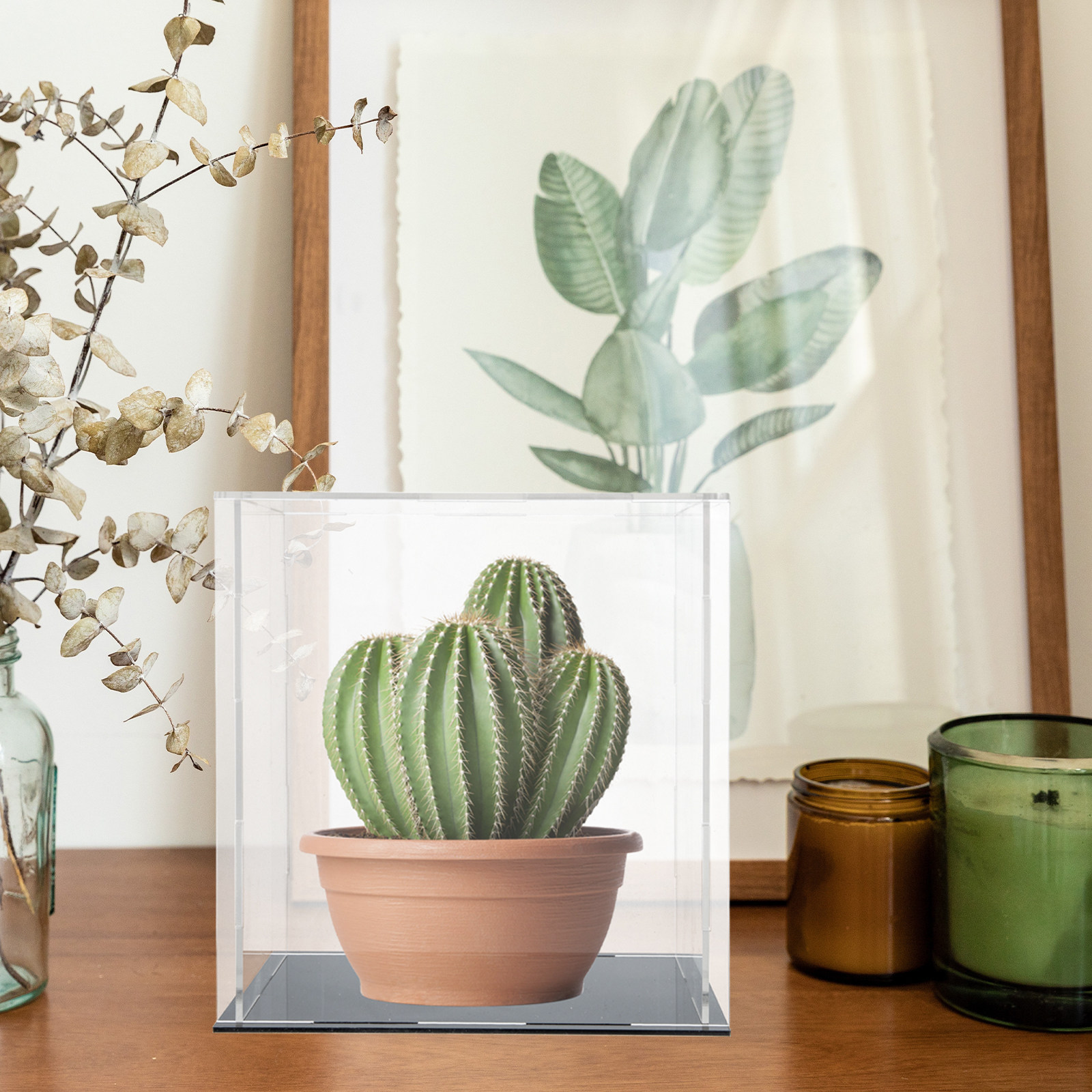 صندوق عرض أكريليك متين وشفاف و - مراجعة Display Case Acrylic وسعره